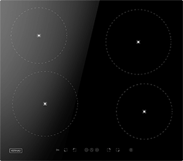 Induktionsfeld Reparatur Demmin